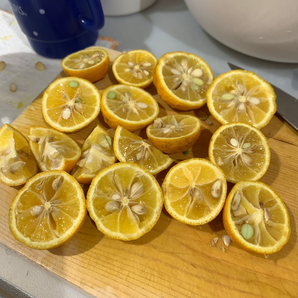 ユーザ