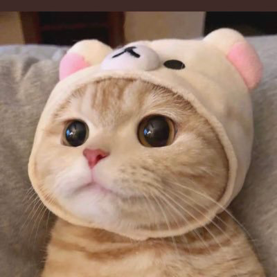 ユーザ