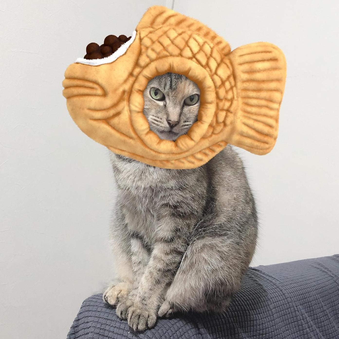 ユーザ